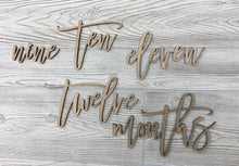 Load image into Gallery viewer, Baby Milestone Photo Laser Cut Words/ First Year Photo Props