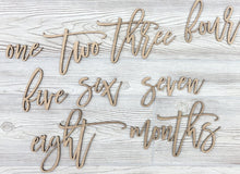 Load image into Gallery viewer, Baby Milestone Photo Laser Cut Words/ First Year Photo Props