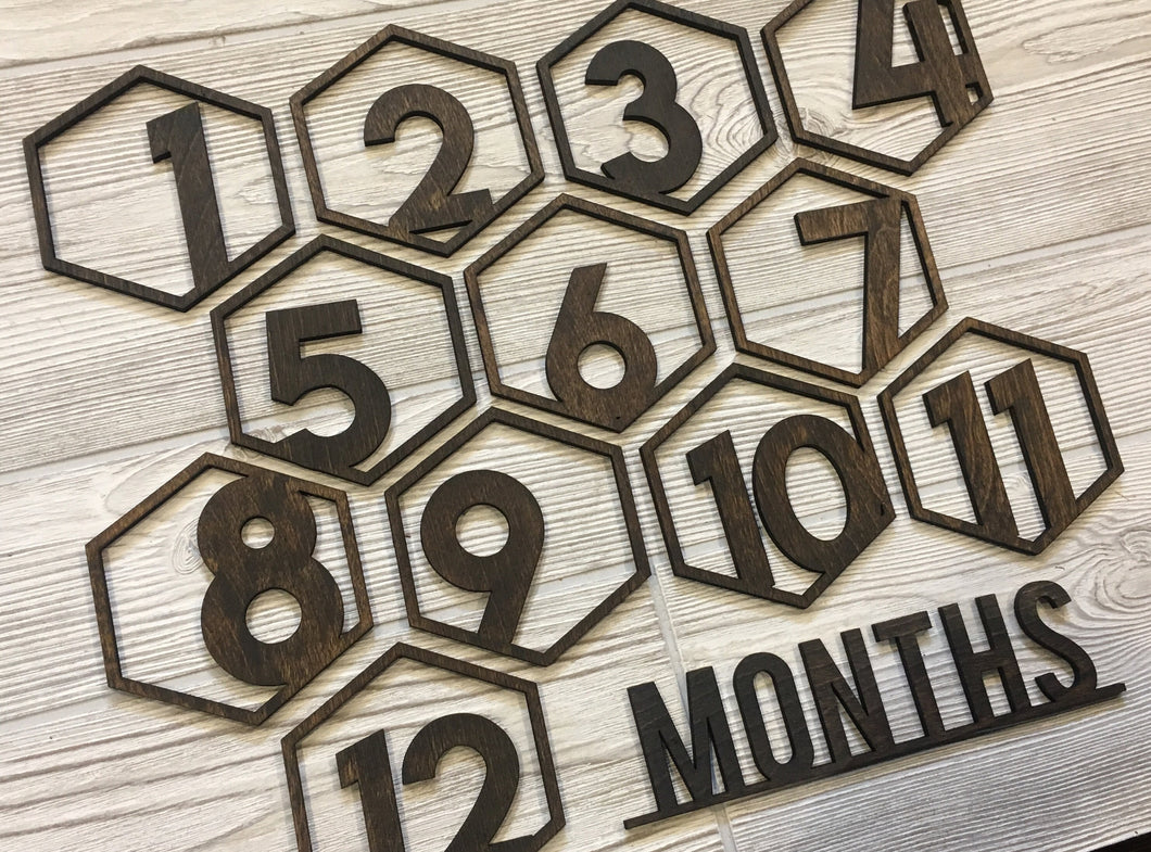 Baby Milestone Photo Laser Cut Numbers/ First Year Numbers/ Modern Baby Photo Props